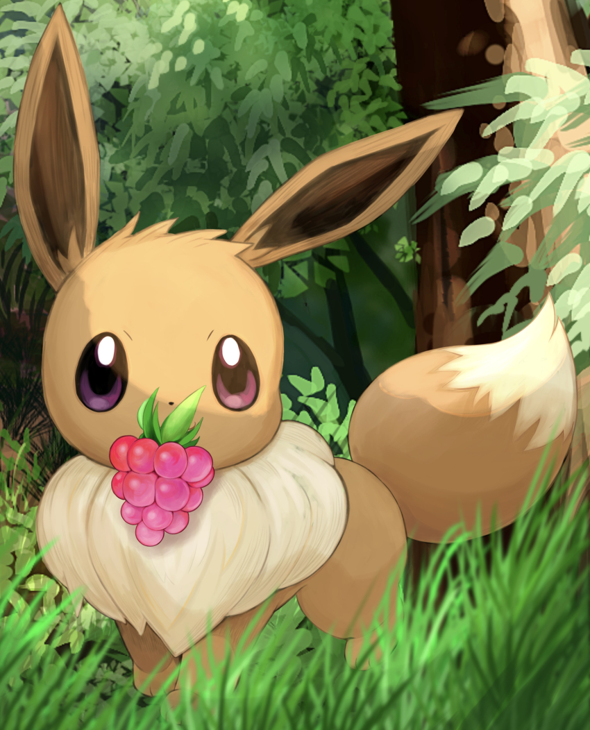 absurdres animal_focus berry_(pokemon) bright_pupils commentary eevee gen_1_pokemon grass highres mouth_hold nintendo no_humans outdoors pokemon pokemon_(creature) purple_eyes razz_berry standing tree vkfp4282 white_pupils