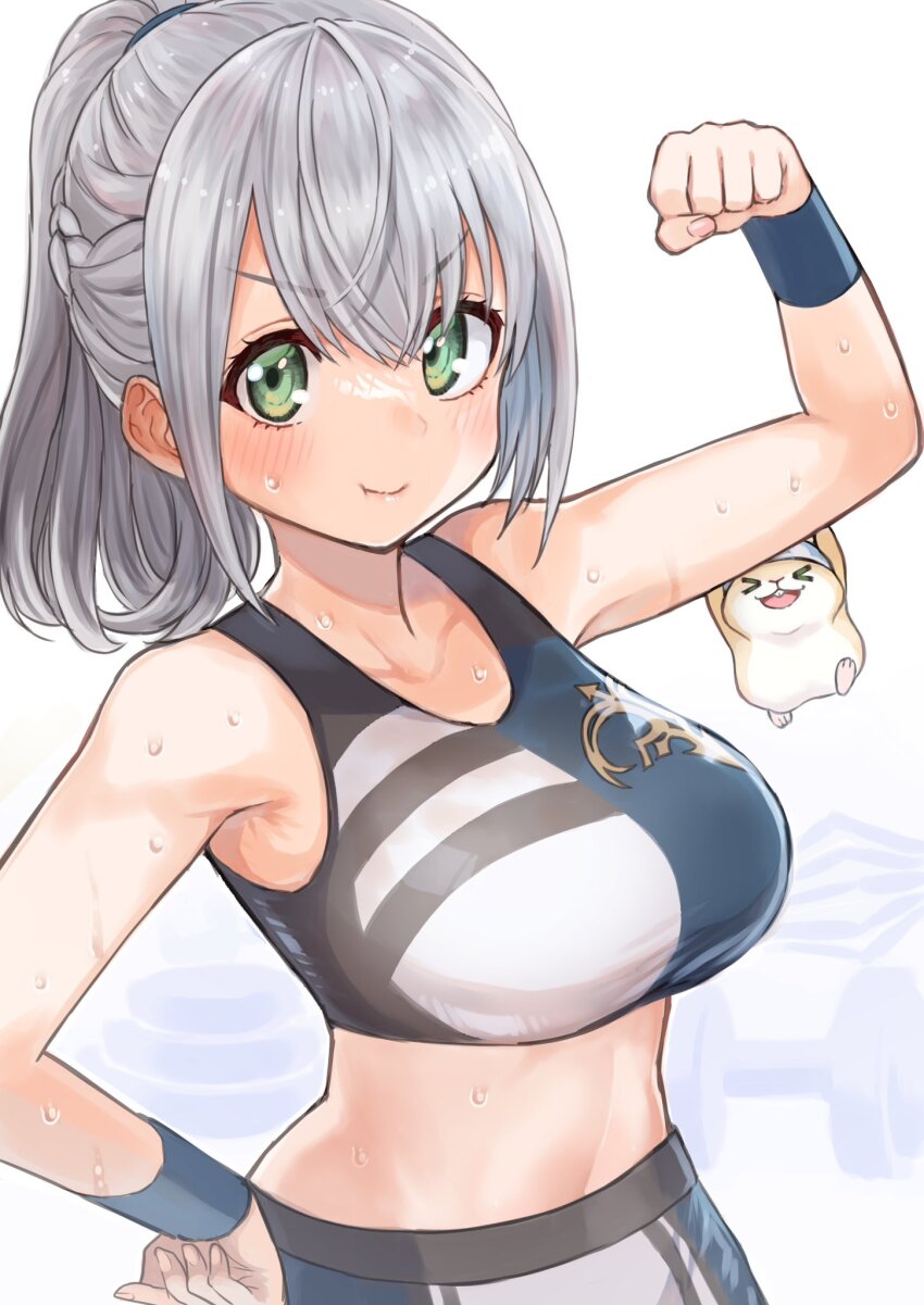 1girl 1other @-you_(you_2023_8_16) blush braid breasts commentary_request dan&#039;in-san_(shirogane_noel) exercising flexing green_eyes grey_hair hair_between_eyes hamster hand_on_own_hip highres hololive large_breasts looking_at_viewer midriff ponytail puffy_cheeks shirogane_noel simple_background sports_bra sportswear sweat upper_body virtual_youtuber weightlifting weights white_background wrist_cuffs
