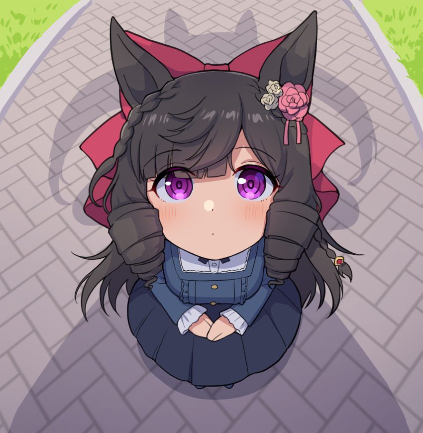 1girl animal_ears black_hair commentary_request curly_hair daiichi_ruby_(umamusume) flower from_above hair_flower hair_ornament highres hishi_akebono_(umamusume) horse_ears horse_girl horse_tail long_hair long_sleeves looking_at_viewer pink_flower pink_rose rose shadow solo tail takiki umamusume