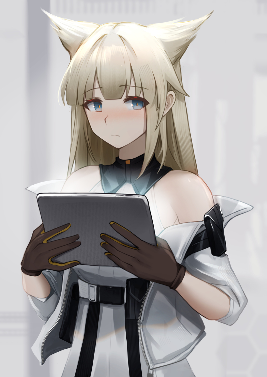 1girl absurdres animal_ears arknights arknights:_endfield bare_shoulders black_gloves blonde_hair blue_eyes blush cat_ears closed_mouth dress embarrassed gloves grey_jacket highres holding holding_tablet_pc jacket krirk long_hair long_sleeves looking_at_viewer open_clothes open_jacket perlica_(arknights) solo tablet_pc underbust upper_body white_dress