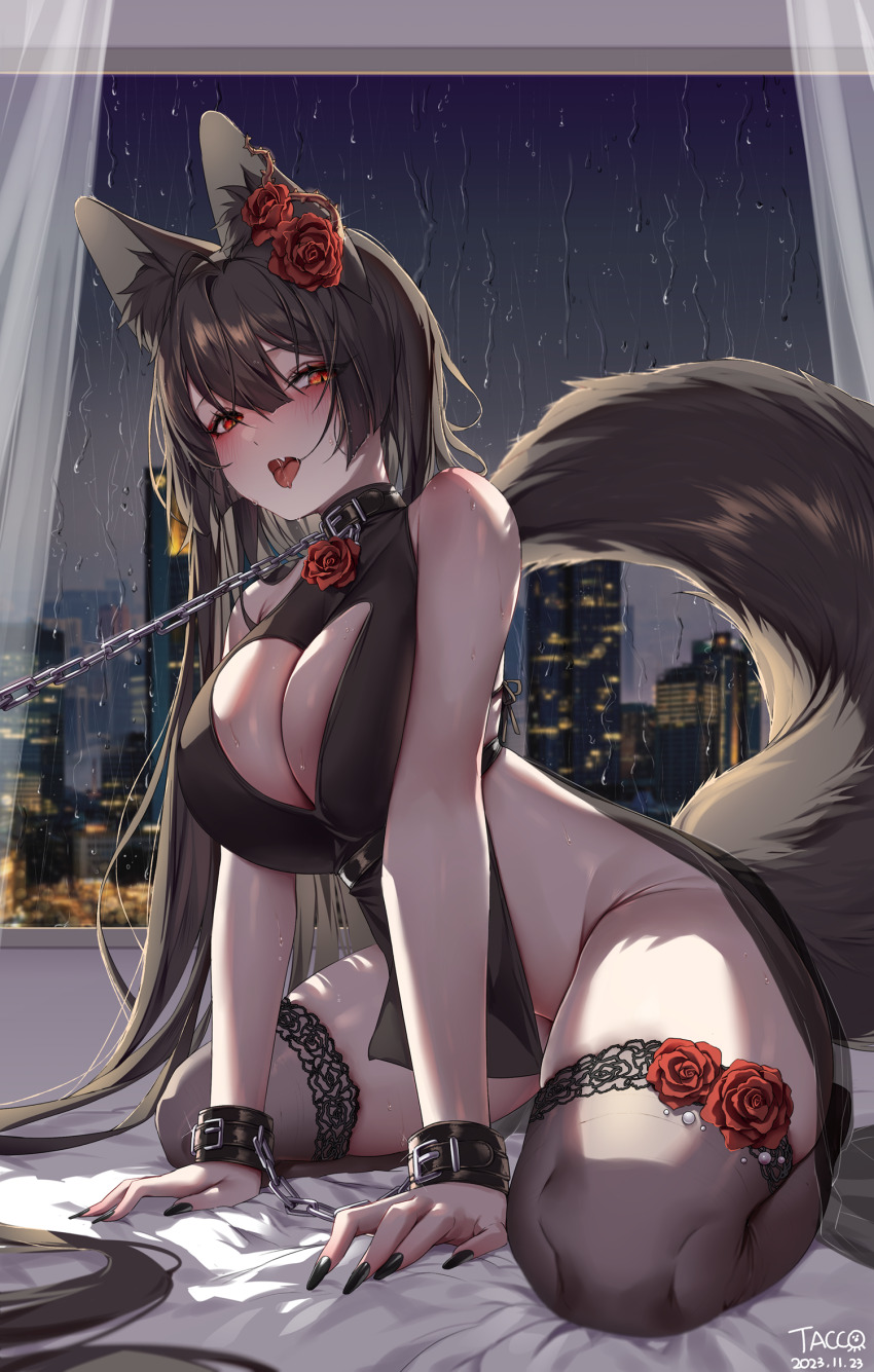1girl animal_ear_fluff animal_ears arm_support bed_sheet black_hair black_nails black_thighhighs blunt_bangs blush bound bound_wrists breasts chain chain_leash cityscape cleavage_cutout clothing_cutout collar curtains dated dress fingernails flower fox_ears fox_girl fox_tail from_below groin hair_between_eyes hair_flower hair_ornament heterochromia highres indoors lace lace-trimmed_thighhighs lace_trim large_breasts leash long_fingernails long_hair no_panties on_bed open_mouth orange_eyes original rain red_eyes red_flower red_rose rose saliva saliva_trail see-through_clothes short_dress side_slit sidelocks signature sitting sleeveless sleeveless_dress slit_pupils sweat tacco_(tikeworld) tail thighhighs tongue tongue_out very_long_hair window