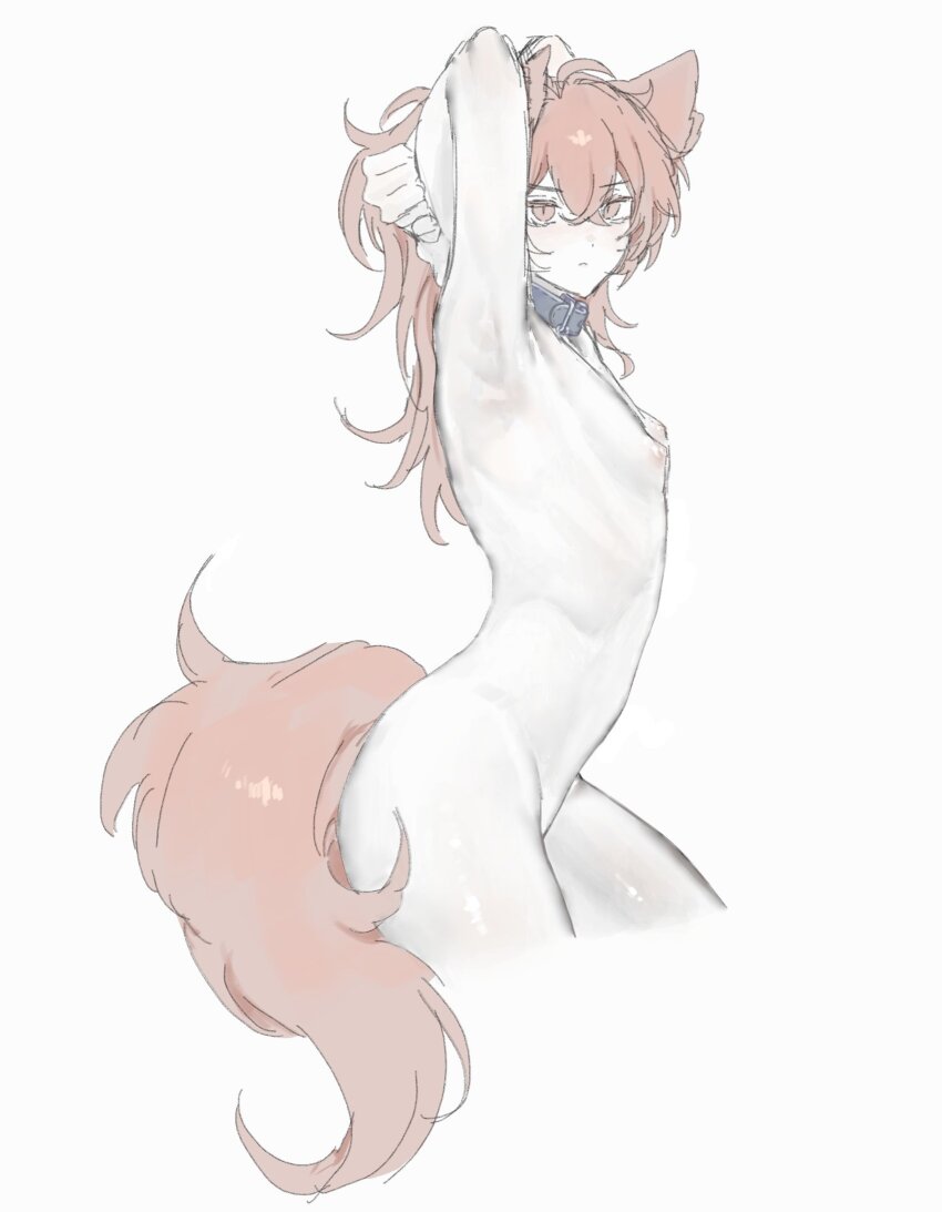 1boy animal_ears armpits arms_up closed_mouth commentary_request cropped_legs diluc_(genshin_impact) from_side genshin_impact gynecomastia hair_between_eyes highres long_hair looking_at_viewer male_focus nipples nude ponytail red_eyes red_hair simple_background skinny solo tail thighs white_background zehuij