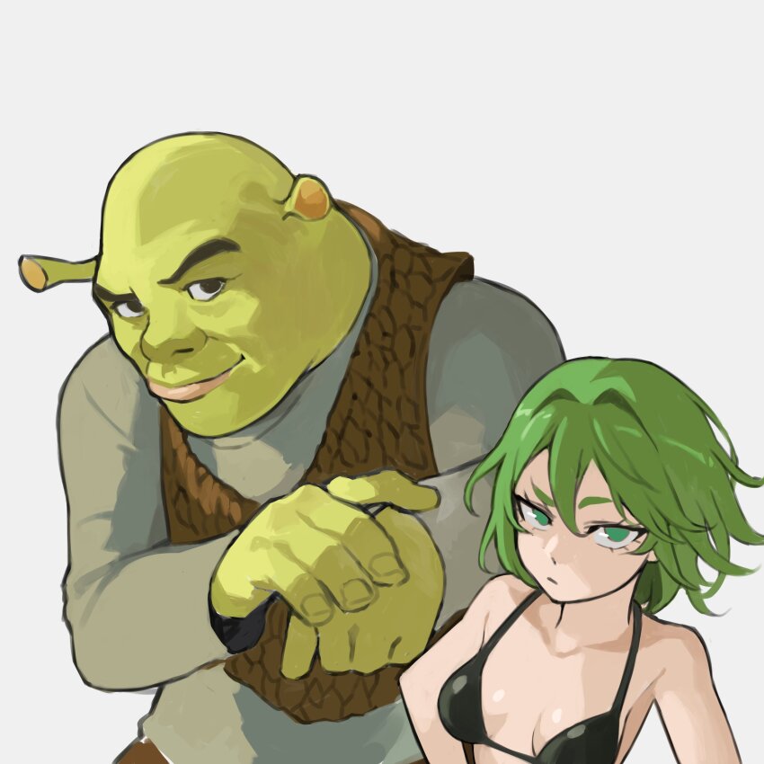 1boy 1girl absurdres bikini black_bikini breasts brown_vest color_connection crossover green_eyes green_hair green_skirt grey_shirt highres leather_vest mogglebear one-punch_man shirt shrek shrek_(series) skirt small_breasts swimsuit tatsumaki vest