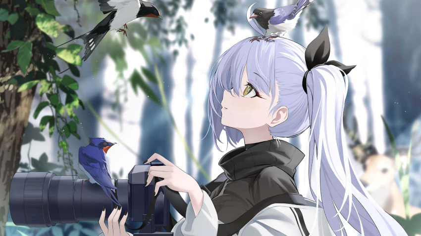 1girl aged_up ahoge animal animal_on_head artist_request azur_lane bird bird_on_head black_nails black_ribbon black_sweater blurry blurry_background camera day deer depth_of_field fingernails from_side grey_hair hair_between_eyes hair_ribbon high_collar highres holding holding_camera jacket leaf long_hair long_sleeves looking_ahead looking_at_animal looking_up nail_polish non-web_source oceana_(azur_lane) off_shoulder official_art on_head open_clothes open_jacket parted_lips plant profile ribbon shirt side_ponytail siren_(azur_lane) smile solo sunlight sweater tree turtleneck turtleneck_sweater upper_body white_jacket yellow_eyes