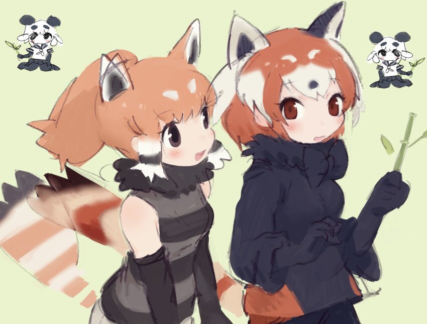 2girls animal_ears bad_id bad_twitter_id bamboo_shoot black_gloves black_hair blush character_request check_character chibi chibi_inset fur_collar giant_panda_(kemono_friends) gloves green_background hands_up highres holding_bamboo_shoot inactive_account kemono_friends kemono_friends_2 long_sleeves looking_at_another mitsuamischeme multicolored_hair multiple_girls open_mouth orange_hair panda_ears panda_girl red_panda_(ex)_(kemono_friends) red_panda_(kemono_friends) red_panda_ears red_panda_girl red_panda_tail short_hair smile standing white_hair