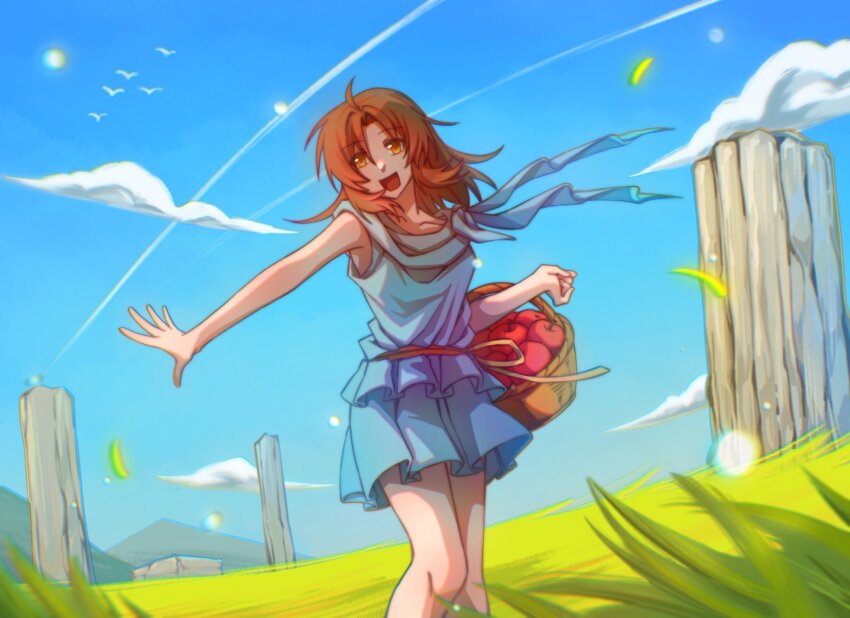 1girl :d ancient_ys_vanished apple arkibk basket blue_dress blue_sky brown_eyes brown_hair cloud commentary dress elbow_carry feet_out_of_frame food frilled_dress frills fruit fruit_basket highres holding holding_basket horizon lilia_(ys) long_hair on_grass open_mouth outdoors outstretched_arm pillar simple_bird sky smile solo standing ys