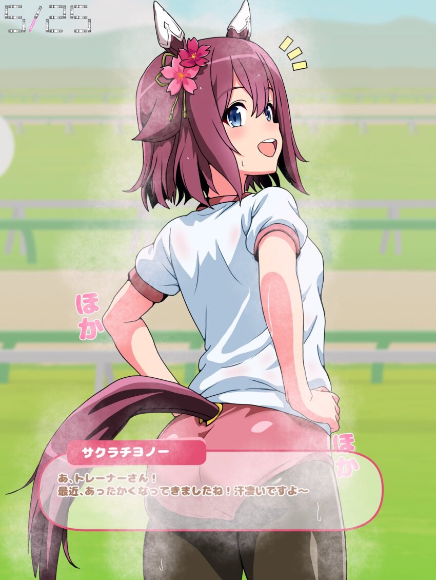 1girl animal_ears ass blue_eyes blush buruma commentary_request dated grass hair_between_eyes hair_ornament highres horse_ears horse_girl looking_at_viewer pantyhose pink_hair sakura_chiyono_o_(umamusume) shiroshitogi solo steaming_body sweat teeth translation_request umamusume upper_teeth_only