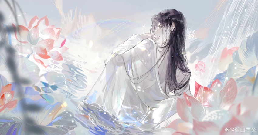 1boy absurdres black_hair chinese_commentary chu_wanning closed_mouth erha_he_tadebai_mao_shizun flower from_behind grey_eyes hair_down highres long_hair long_sleeves looking_at_viewer looking_back lotus lotus_leaf lotus_pod male_focus partially_undressed pink_flower robe see-through_clothes solo upper_body wading water watermark weibo_2267015105 weibo_watermark wet white_robe