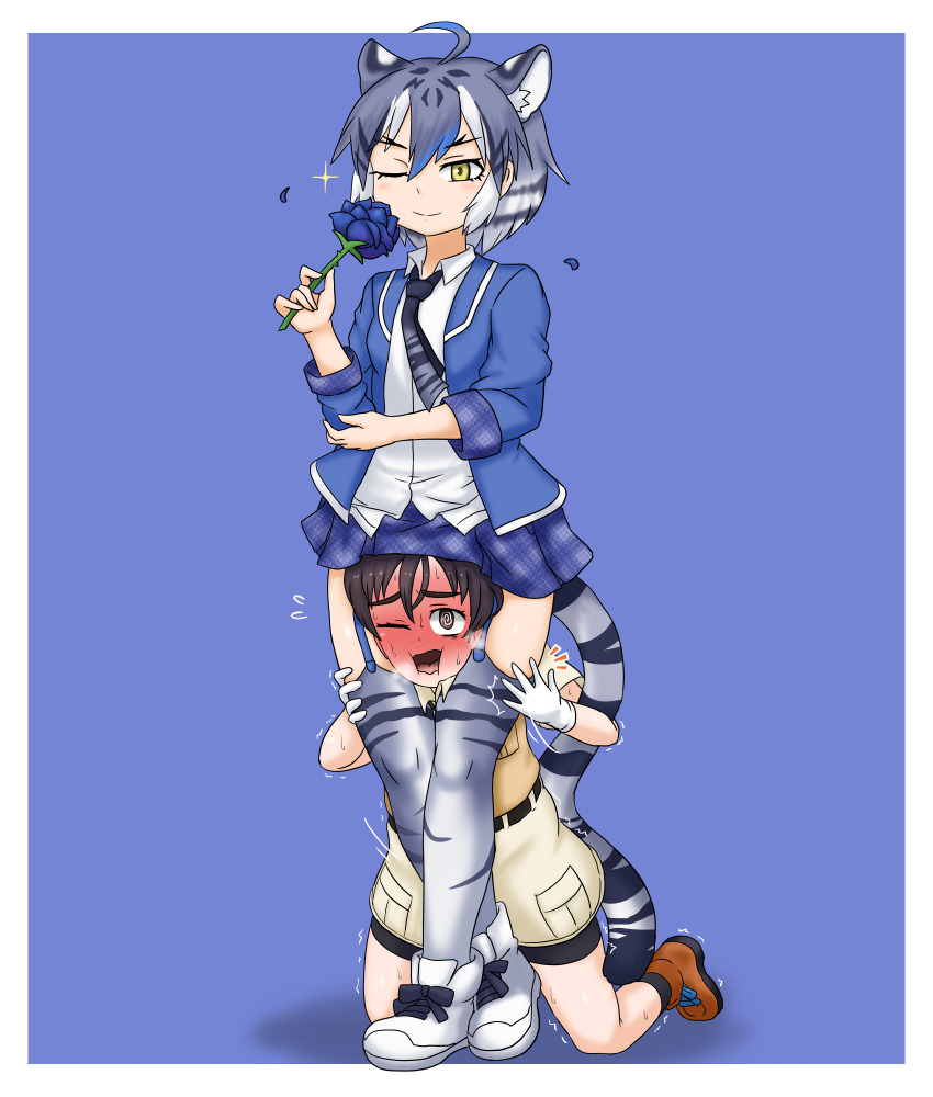 1boy 1girl @_@ adansosutega animal_ears animal_print bike_shorts bike_shorts_under_shorts blazer blue_flower blue_hair blue_jacket blue_rose blue_skirt blue_trim blush boots brown_hair brown_shorts captain_(kemono_friends) collared_shirt embarrassed extra_ears femdom flower garter_straps gloves grey_hair head_between_thighs highres jacket kemono_friends kemono_friends_3 long_sleeves looking_at_viewer maltese_tiger_(kemono_friends) multicolored_hair necktie official_art one_eye_closed open_clothes open_jacket open_mouth orange_boots plaid_clothes plaid_skirt plaid_trim pleated_skirt pocket print_necktie print_thighhighs rose safari_jacket scissorhold shirt shoes short_hair short_sleeves shorts simple_background skirt smile socks solo standing strangling struggling sweat tail thighhighs tiger_ears tiger_girl tiger_print tiger_tail tomboy translation_request transparent_background trembling white_gloves white_hair white_shirt white_shoes yellow_background yellow_eyes zettai_ryouiki