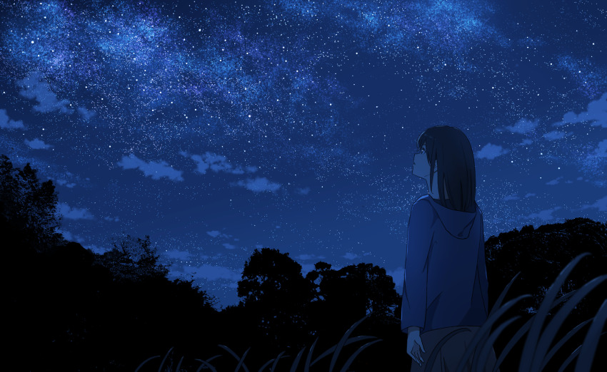 1girl anyotete black_hair blue_hoodie blurry commentary cowboy_shot depth_of_field english_commentary from_behind grass highres hood hoodie long_hair long_sleeves looking_up night night_sky open_mouth original outdoors scenery silhouette sky solo standing star_(sky) starry_sky tree wide_shot