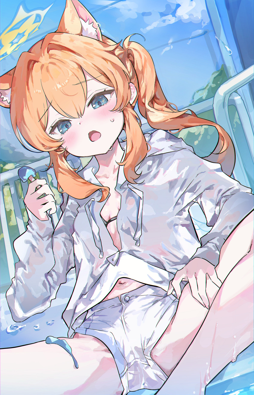 0202ase 1girl absurdres alternate_costume alternate_hairstyle animal_ear_fluff animal_ears black_bra blue_archive blush bra cat_ears cat_girl hair_between_eyes highres holding holding_mushroom huge_filesize loli long_hair looking_at_viewer mari_(blue_archive) mushroom navel open_clothes open_mouth open_shirt orange_hair shirt shorts side_ponytail sidelocks solo spread_legs sweatdrop teeth underwear upper_teeth_only wet white_shirt white_shorts