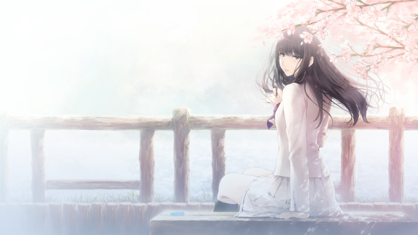 1girl bench black_eyes black_hair black_socks blunt_bangs bow bowtie cherry_blossoms fence from_behind full_body highres kara_no_shoujo kneehighs kuchiki_touko long_hair long_sleeves looking_at_viewer on_bench outdoors parted_lips purple_bow purple_bowtie school_uniform shirt sitting skirt socks solo straight_hair sugina_miki twirling_hair white_shirt white_skirt