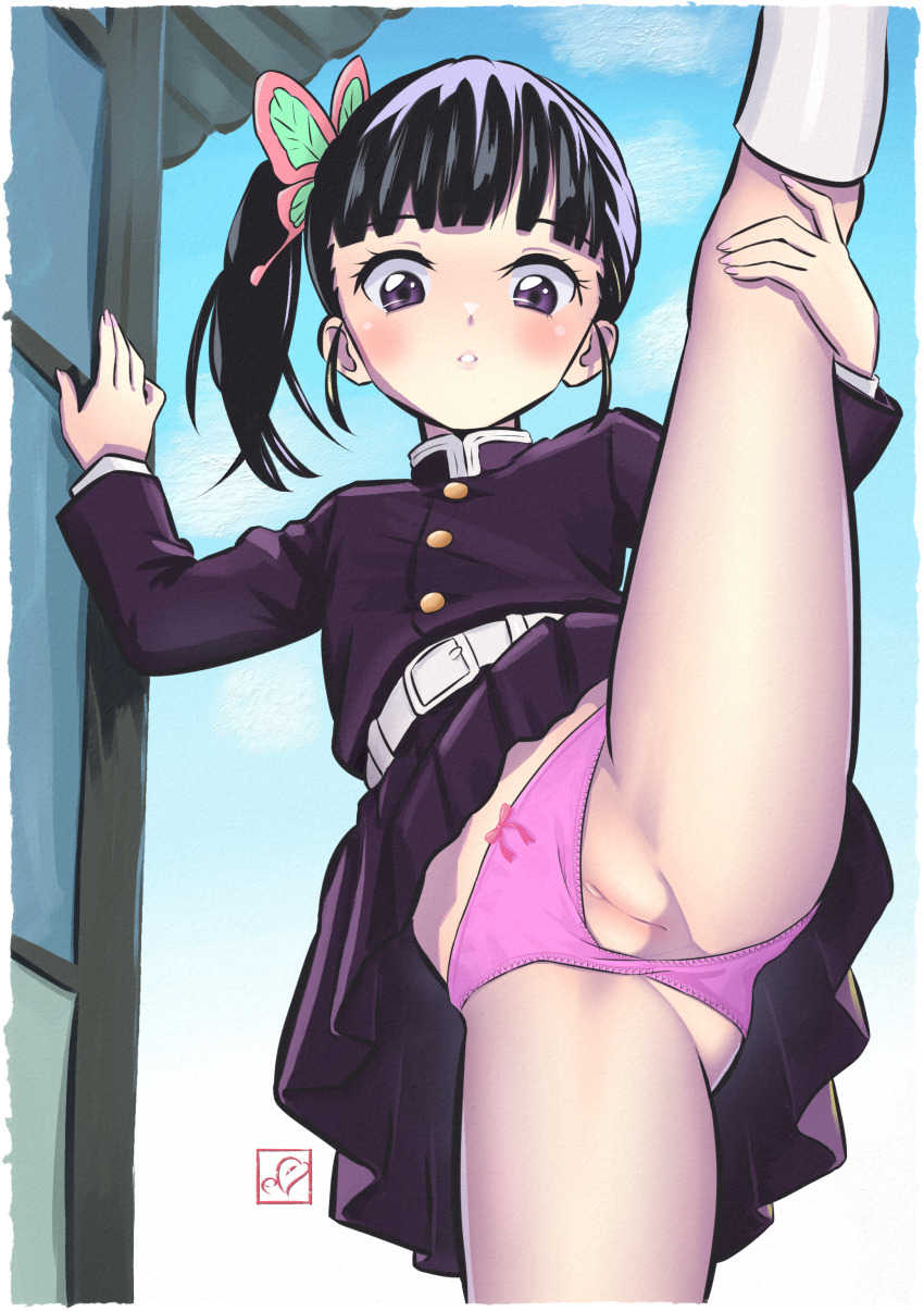1girl absurdres black_hair blue_sky butterfly_hair_ornament day demon_slayer_uniform elementary_(lolipope) hair_ornament highres kimetsu_no_yaiba leg_hold leg_lift loli outdoors panties pink_panties purple_eyes pussy side_ponytail sky solo split standing standing_on_one_leg standing_split tsuyuri_kanao uncensored underwear