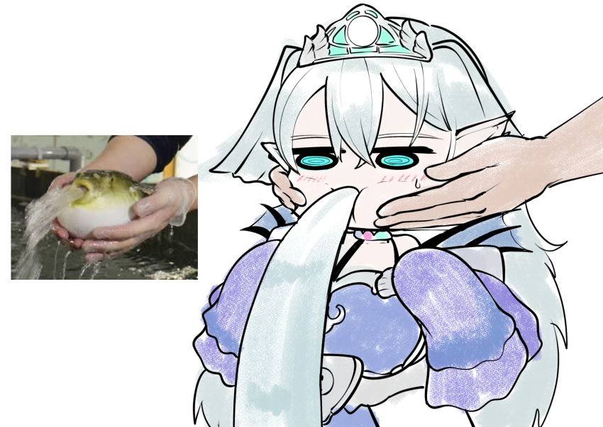 1girl 1other blue_dress blue_eyes chibi cotan_(actancyaga) dress duel_monster fish hands_on_another&#039;s_cheeks hands_on_another&#039;s_face highres kitkallos_(yu-gi-oh!) long_sleeves meme photo-referenced pointy_ears puffer_fish puffer_fish_vomiting_water_(meme) reference_inset solo_focus tearlaments_kitkallos tiara vomiting water white_background white_hair yu-gi-oh!