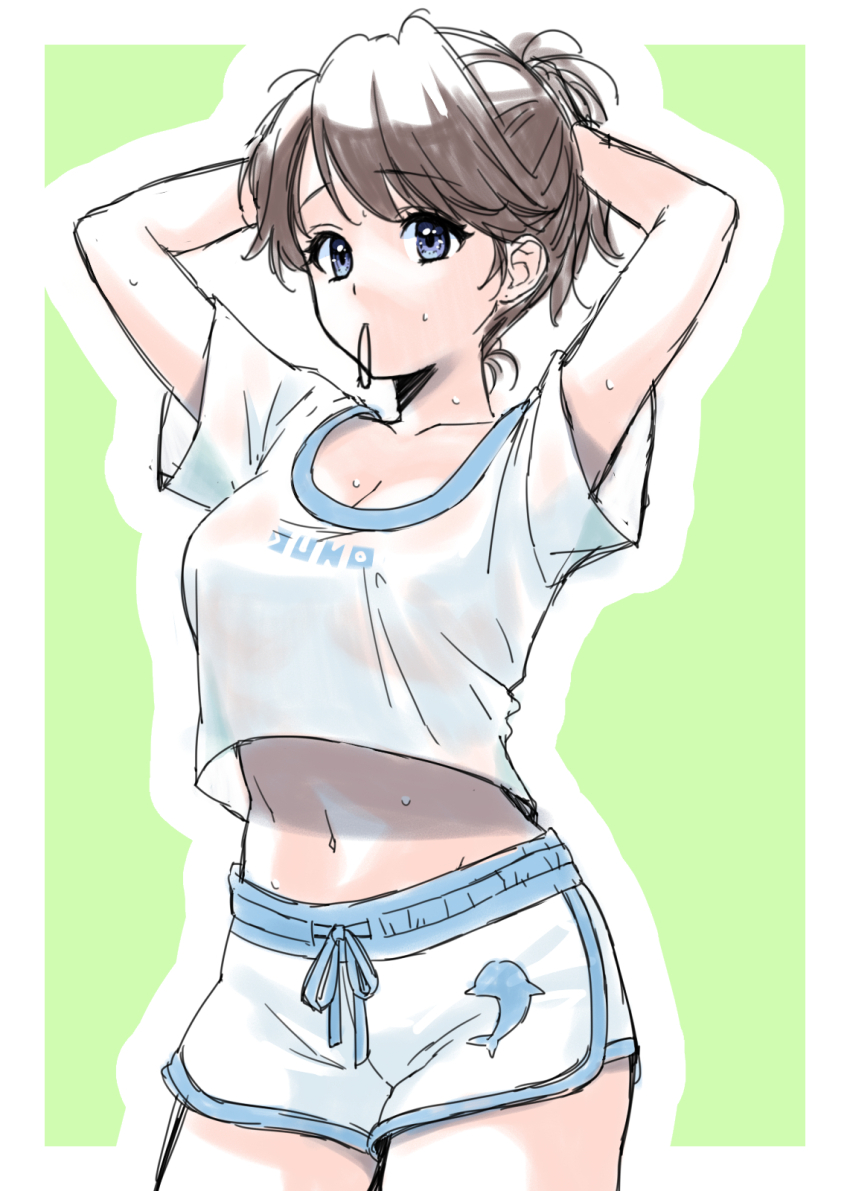 1girl arms_up blue_eyes border breasts brown_hair cleavage commentary_request cowboy_shot dolphin dragon_quest dragon_quest_x drawstring hair_tie heroine_(dq10) highres looking_at_viewer medium_breasts midriff_peek momo_nei navel shirt short_sleeves shorts sketch solo sweat wet wet_clothes wet_shirt white_border