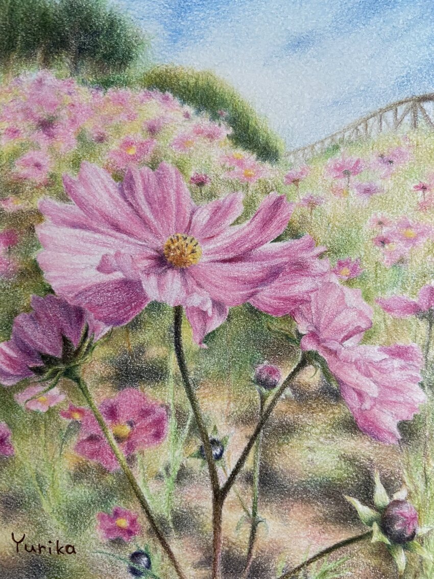 colored_pencil_(medium) english_text flower flower_focus gravel highres hill leaf light no_humans ooy33151086 original painting_(medium) plant potted_plant realistic shadow signature traditional_media white_background