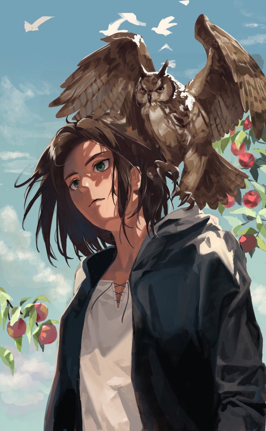 1boy absurdres bird black_jacket blue_sky brown_hair closed_mouth eren_yeager flock food fruit grey_eyes highres jacket lace-up_top long_sleeves male_focus medium_hair owl parted_bangs shingeki_no_kyojin shirt shirushi_06 sky solo upper_body white_shirt