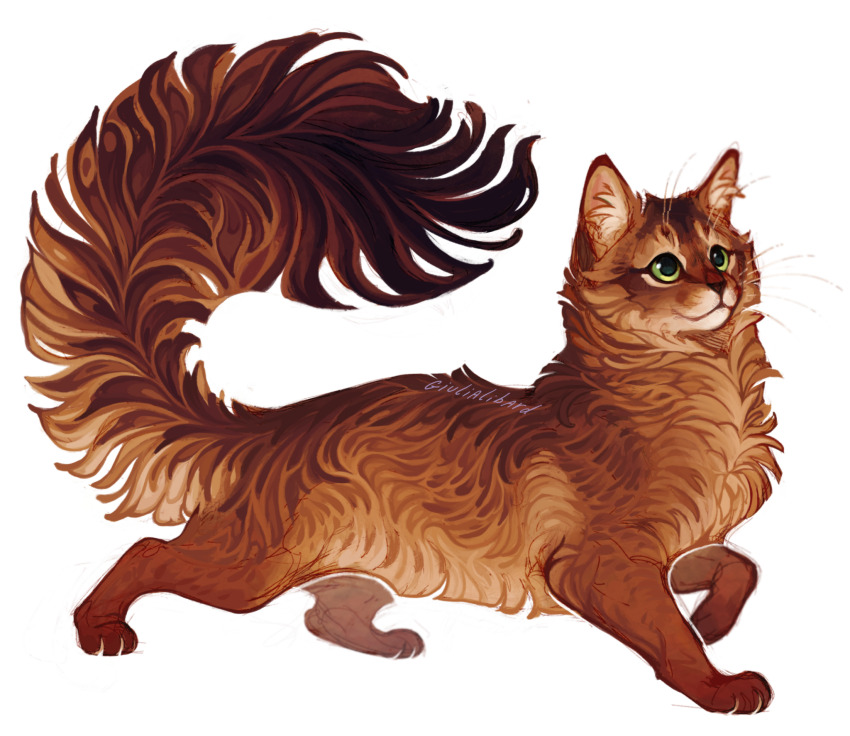 :3 animal animal_ear_fluff animal_focus brown_fur cat fluffy giulialibard gradient_fur green_eyes highres no_humans orange_fur original realistic signature simple_background solo somali_cat whiskers white_background