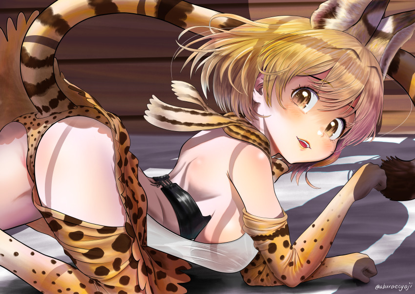 1girl absurdres aburaeoyaji all_fours animal_print ass back backless_outfit blonde_hair blush bow bowtie breasts brown_eyes corset double-parted_bangs elbow_gloves extra_ears flat_ass from_side gloves highres kemono_friends large_breasts light_smile looking_at_viewer medium_breasts medium_hair miniskirt multicolored_hair open_mouth panties paw_pose print_bow print_bowtie print_gloves print_panties print_scarf print_skirt print_thighhighs scarf see-through_silhouette serval_(kemono_friends) shoulder_blades sideboob skirt solo thighhighs underwear