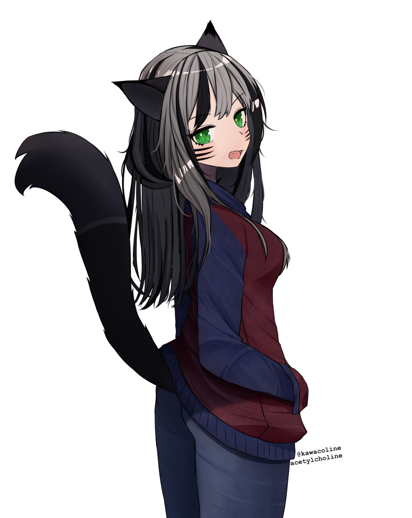 1girl :d absurdres acetylcholine animal_ears black_hair breasts cat_ears cat_girl fang female_focus green_eyes grey_hair head_tilt highres jacket long_hair looking_at_viewer looking_back lynx medium_breasts multicolored_hair open_mouth original smile solo standing tail
