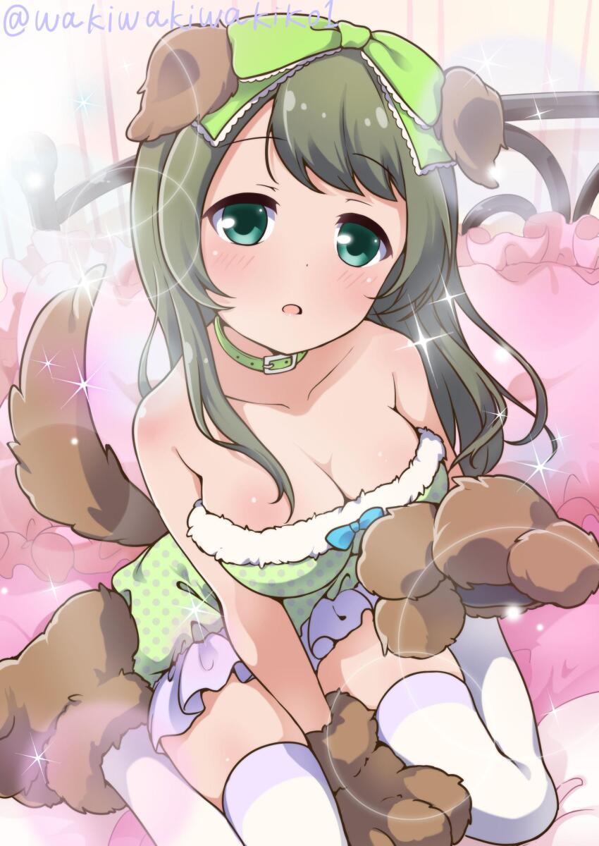 1girl absurdres animal_ears animal_hands battle_girl_high_school bed blue_eyes blush breasts brown_hair collar commentary_request dog_ears dog_tail gloves highres long_hair looking_at_viewer medium_breasts neki_(wakiko) paw_gloves photoshop_(medium) solo tail thighhighs tokiwa_kurumi