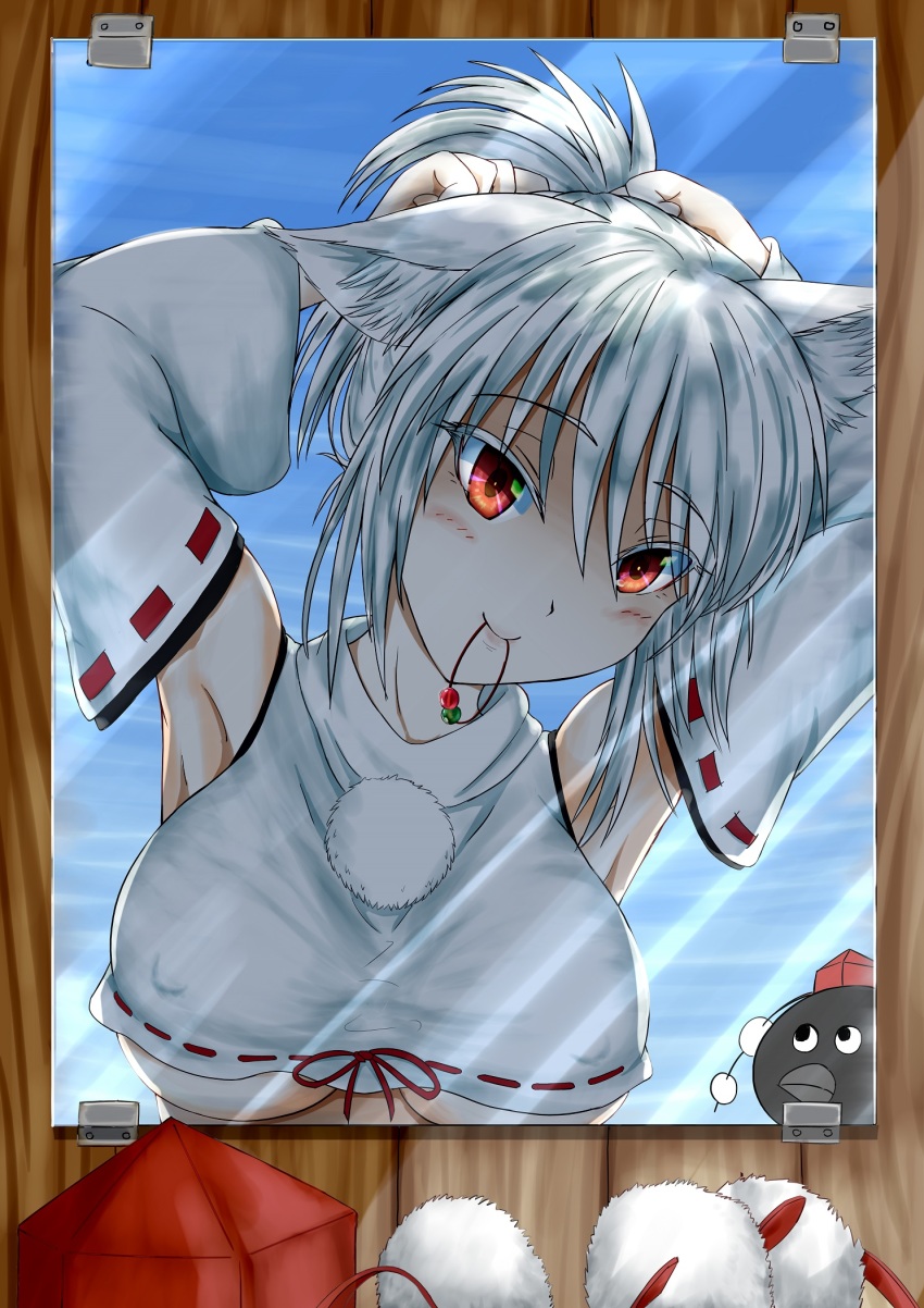 1girl animal_ears armpits arms_behind_head arms_up bare_shoulders beak bird blue_sky breasts commentary_request covered_erect_nipples crop_top day detached_sleeves female_pov hair_between_eyes hair_tie hat head_tilt unworn_headwear highres inubashiri_momiji kagami_toufu lips looking_at_another mirror mouth_hold no_bra outdoors pom_pom_(clothes) ponytail pov red_eyes ribbon-trimmed_sleeves ribbon_trim shameimaru_aya shameimaru_aya_(crow) sky smile tokin_hat touhou tying_hair underboob upper_body white_hair wide_sleeves wolf_ears