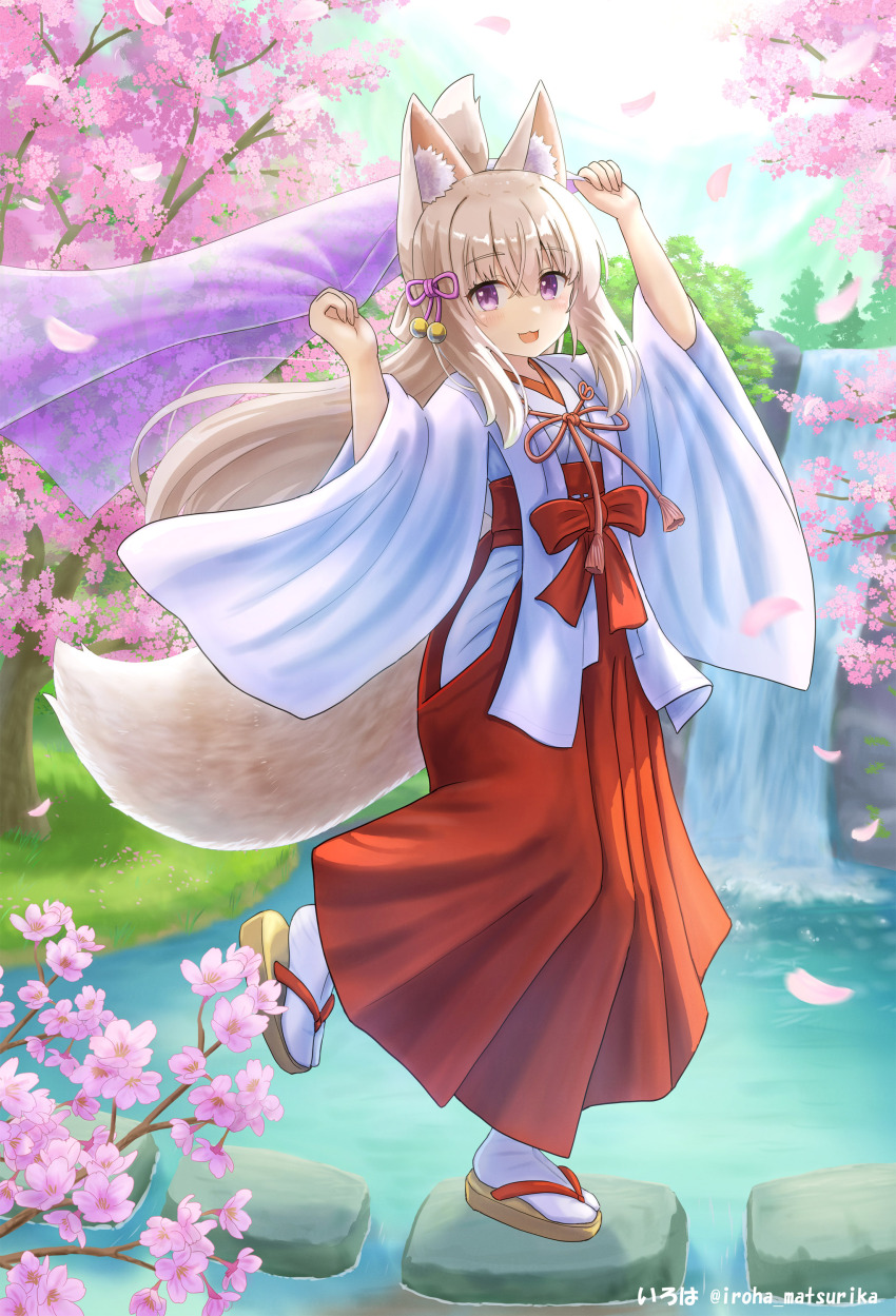 1girl :d absurdres animal_ear_fluff animal_ears arm_up blush branch brown_hair brown_sandals commentary_request day flower folded_ponytail fox_ears fox_girl fox_tail hair_between_eyes hakama hakama_skirt hand_up highres hip_vent holding iroha_(iroha_matsurika) japanese_clothes kimono koyoi_(iroha_(iroha_matsurika)) long_hair long_sleeves looking_at_viewer miko open_mouth original outdoors petals pink_flower purple_eyes red_hakama sandals skirt smile socks solo standing standing_on_one_leg sunlight tabi tail very_long_hair water waterfall white_kimono white_socks wide_sleeves zouri