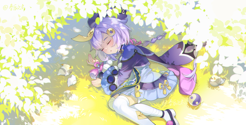 1girl bird blue_dress closed_eyes commentary day dress foot_out_of_frame genshin_impact harutatsunoki hat highres jiangshi long_hair long_sleeves lying ofuda ofuda_on_head on_grass on_side outdoors parted_lips purple_hair purple_hat qiqi_(genshin_impact) solo thighhighs very_long_hair white_thighhighs yin_yang