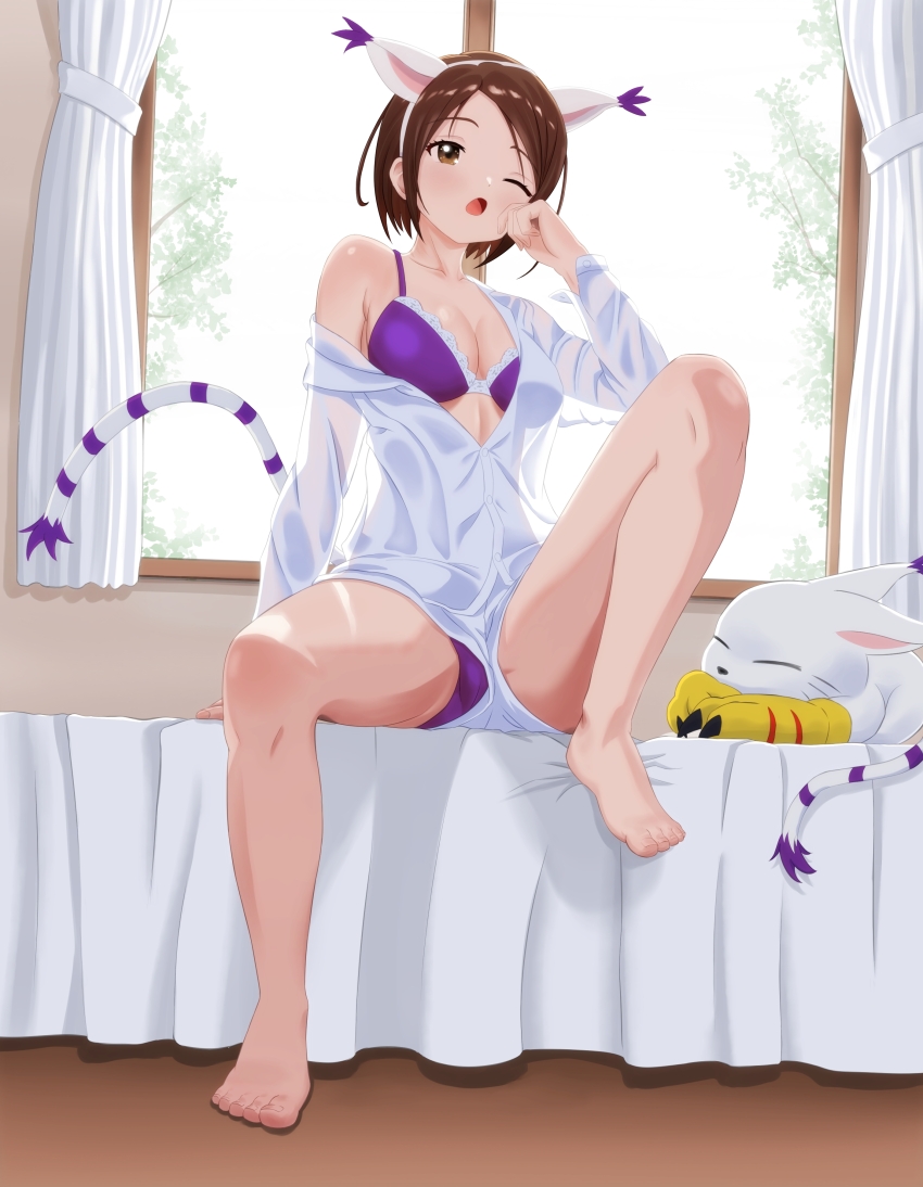 1girl absurdres animal_ears body_fur bra breasts brown_eyes brown_hair cat cat_ears cat_tail cleavage cosplay digimon digimon_adventure digimon_adventure_tri. fake_animal_ears fake_tail highres indoors medium_breasts omeka_gamma on_bed one_eye_closed panties purple_bra purple_panties shirt single_bare_shoulder single_off_shoulder sitting solo_focus tail tailmon tailmon_(cosplay) underwear white_fur white_shirt window yagami_hikari