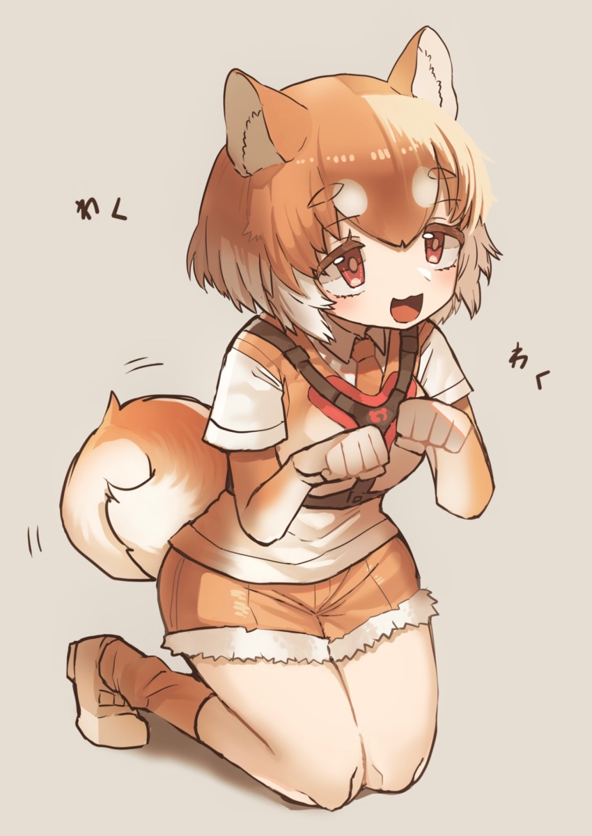 1girl :3 animal_ears blush brown_gloves brown_necktie brown_shorts brown_socks brown_vest collared_shirt dog_(shiba_inu)_(kemono_friends) dog_ears dog_girl dog_tail elbow_gloves fur_trim gloves hair_between_eyes harness highres japari_symbol kemono_friends kemono_friends_3 kneeling light_brown_hair multicolored_hair necktie open_mouth orange_eyes paw_pose shirt short_hair short_shorts short_sleeves shorts sidelocks socks solo super_fuwafuwa t-shirt tail two-tone_hair vest white_footwear white_hair white_shirt