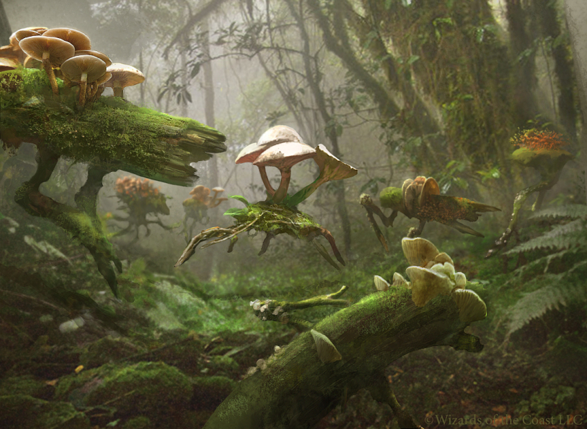 bradrigney commentary copyright_name day english_commentary fantasy foliage forest grass leaf log logo magic:_the_gathering moss mushroom nature no_humans outdoors overgrown plant realistic rock scenery tree vines