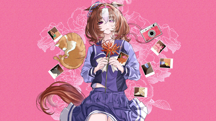 1girl absurdres admire_vega_(umamusume) air_shakur_(umamusume) animal_ears bow bowtie brown_hair brown_tail camera cat commentary_request crown ear_covers floral_background flower hair_between_eyes haru_urara_(umamusume) higeji_(higeji404) highres holding holding_flower horse_ears horse_girl horse_tail long_sleeves lying matikanefukukitaru_(umamusume) medium_hair meisho_doto_(umamusume) meto_(cat) midriff_peek mini_crown narita_top_road_(umamusume) on_back orange_cat pink_background polaroid_photo purple_bow purple_bowtie purple_eyes purple_shirt purple_skirt school_uniform shirt skirt smoke smoke_trail spider_lily t.m._opera_o_(umamusume) taiki_shuttle_(umamusume) tail tracen_school_uniform umamusume white_streaks