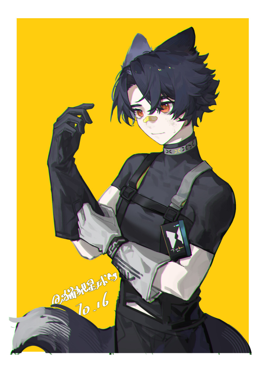 1boy absurdres animal_ears arknights artist_name asymmetrical_gloves bandaid bandaid_on_face bandaid_on_nose black_gloves black_hair black_pants black_shirt border chromatic_aberration closed_mouth dated dirty dirty_face dog_boy dog_ears dog_tail gloves hands_up highres id_card infection_monitor_(arknights) male_focus maorongxingqiu mismatched_gloves orange_eyes pants putting_on_gloves shirt short_sleeves simple_background smile solo tail white_border white_gloves windflit_(arknights) yellow_background