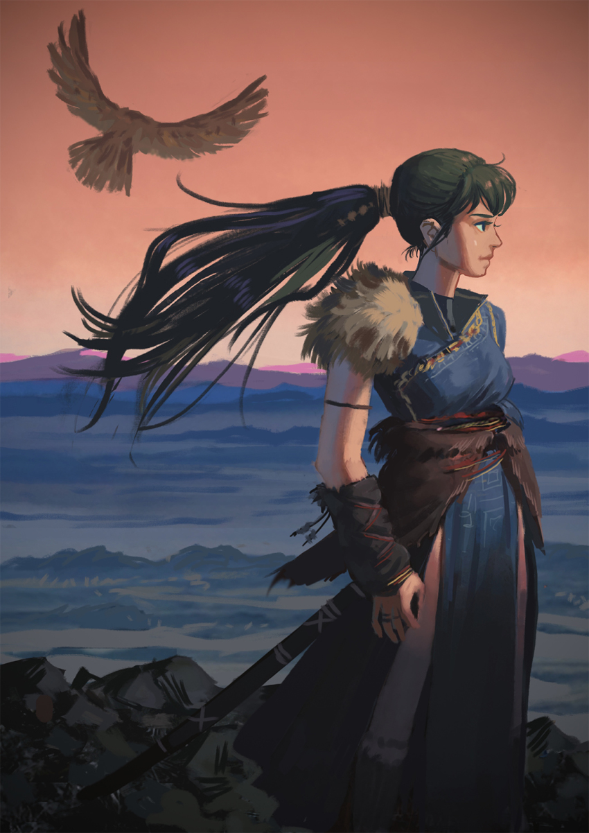 1girl bird commentary fire_emblem fire_emblem:_the_blazing_blade from_side green_hair highres illustman_(u_ip8s) long_hair lyn_(fire_emblem) nintendo pelvic_curtain ponytail profile red_sky side_slit sky solo sword weapon