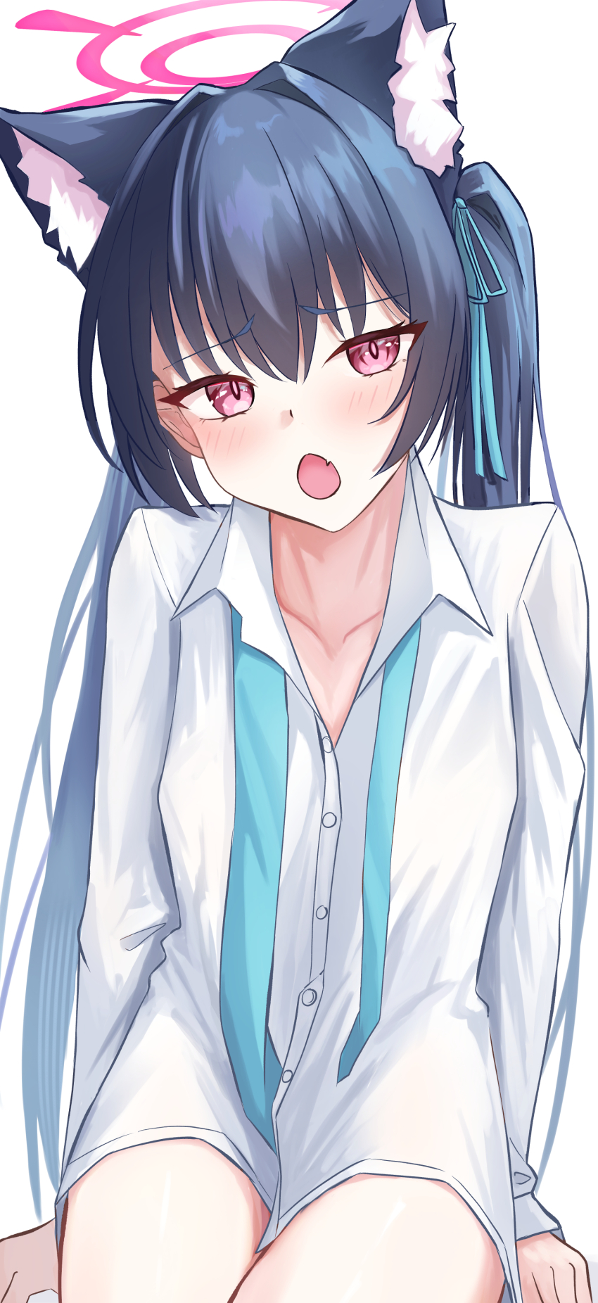 1girl :o absurdres animal_ear_fluff animal_ears arms_at_sides black_hair blue_archive blue_ribbon blush cat_ears cat_girl collarbone collared_shirt commentary cowboy_shot dress_shirt fang fujiwara_haru_(nekonote) furrowed_brow hair_between_eyes hair_intakes hair_ribbon halo highres long_hair naked_shirt neck_ribbon open_mouth oversized_clothes oversized_shirt pink_halo pink_pupils red_eyes ribbon serika_(blue_archive) shirt simple_background sitting skin_fang sleeves_past_wrists slit_pupils solo straight_hair tsurime twintails undone_neck_ribbon very_long_hair white_background white_shirt