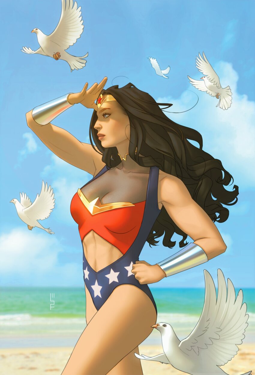 1girl beach bird black_hair blue_sky bracer day dc_comics highres long_hair outdoors scott_forbes sky solo tiara water white_bird wonder_woman wonder_woman_(series)