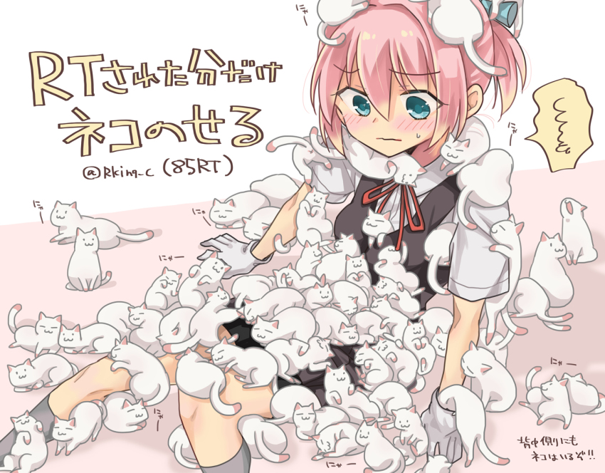 1girl animal animal_on_head animal_on_lap black_skirt black_vest blue_eyes cat cat_on_head cat_on_lap collared_shirt commentary_request dress_shirt feet_out_of_frame gloves grey_socks kantai_collection neck_ribbon on_head on_lap pink_hair pleated_skirt ponytail r-king ribbon shiranui_(kancolle) shirt sitting skirt socks too_many too_many_cats translation_request vest white_gloves white_shirt
