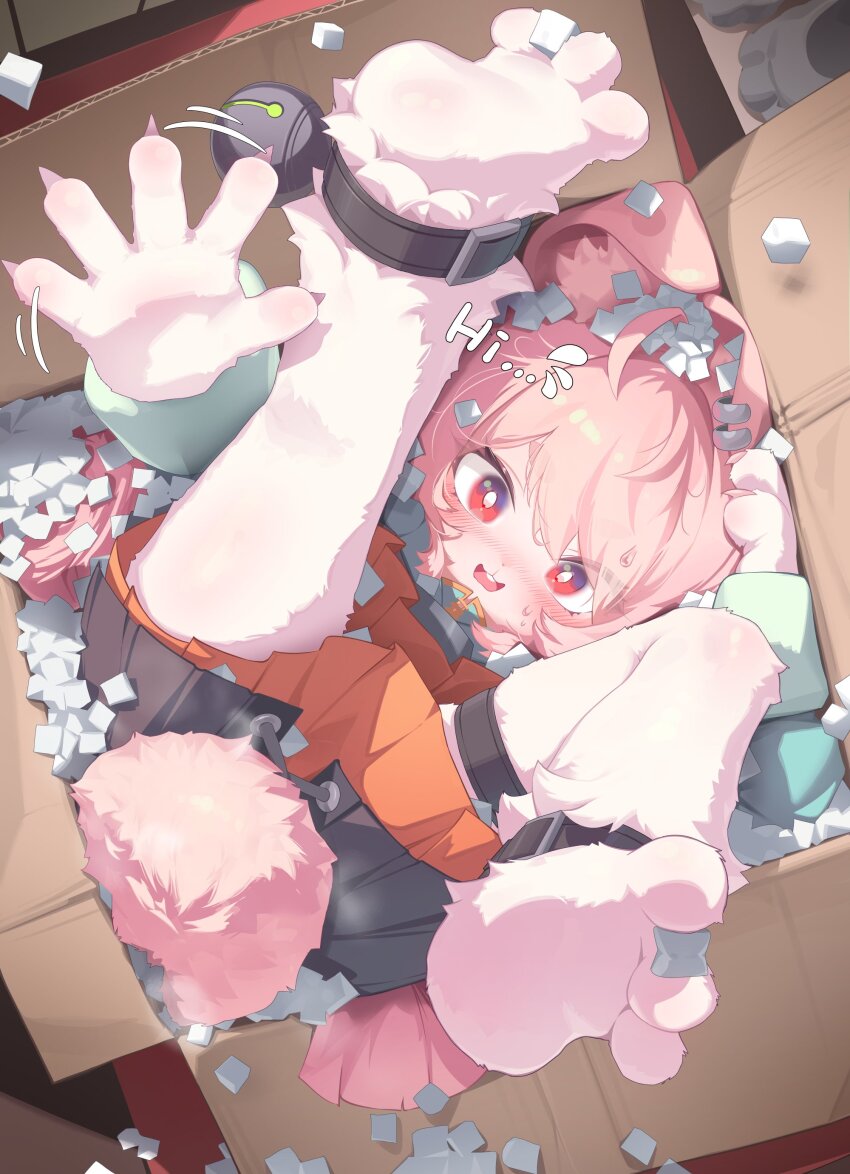 1girl absurdres ahoge animal_ears ankle_strap blush box bright_pupils buck_teeth cardboard_box claws ear_piercing furry furry_female highres in_box in_container joykoygo legs_up long_hair long_sleeves looking_at_viewer piercing pink_fur pink_hair rabbit_ears rabbit_girl rabbit_tail red_eyes skirt solo tail teeth white_pupils zenless_zone_zero zhao_(zenless_zone_zero)