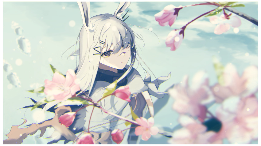1girl absurdres animal_ears arknights black_eyes branch cherry_blossoms commentary_request day flower frostnova_(arknights) hair_between_eyes hair_ornament hair_over_one_eye hairclip highres jacket lens_flare long_hair outdoors parted_lips partial_commentary pink_flower scar scar_on_face scar_on_nose solo white_hair white_jacket wind yuu_(kranblume)