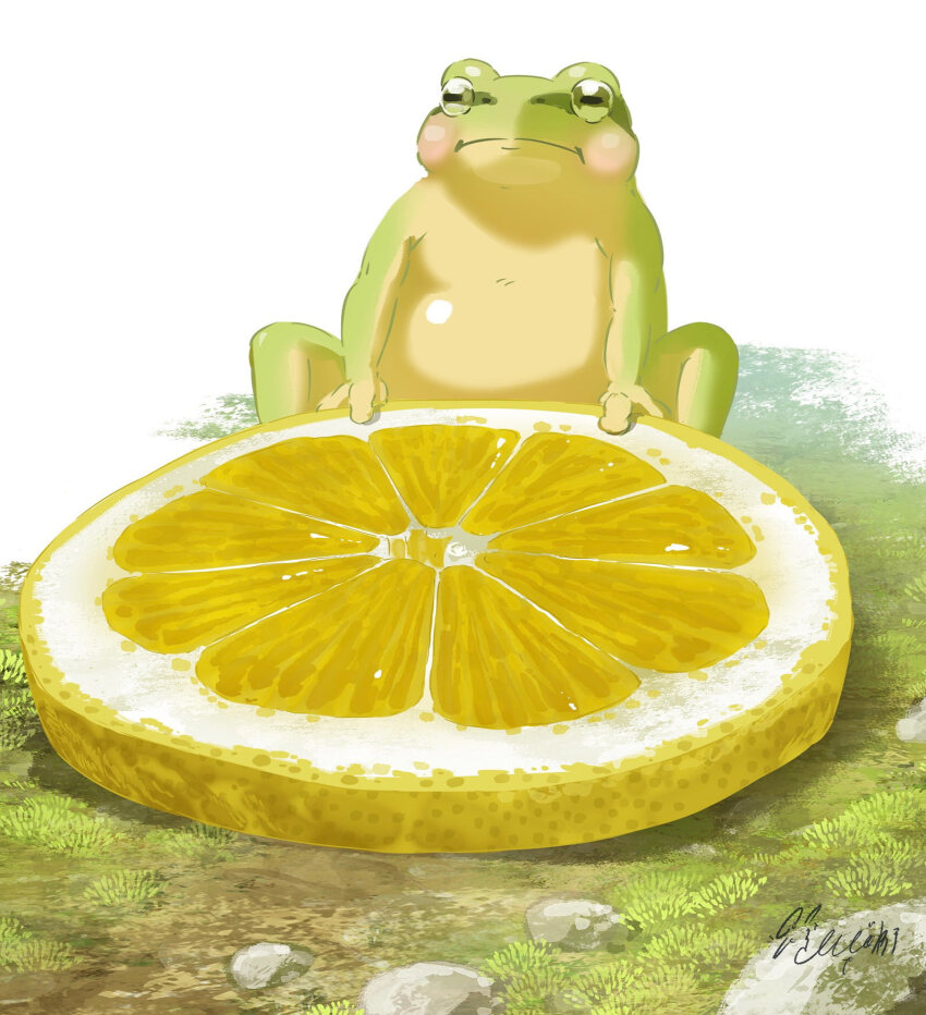animal_focus closed_mouth commentary_request food frog fruit grass hachiya_shohei highres lemon lemon_slice no_humans on_ground original rock sitting