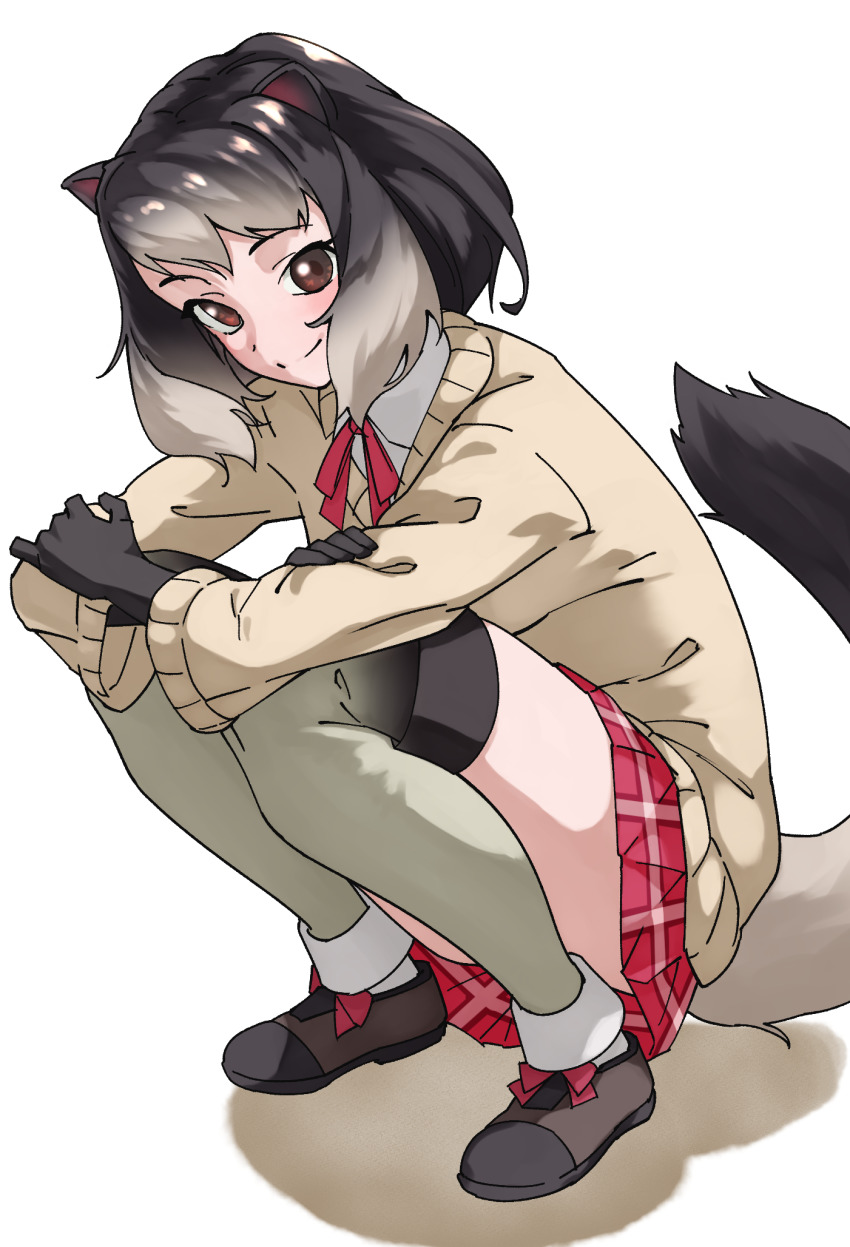 1girl alpine_marmot_(kemono_friends) animal_ears beige_jacket black_gloves black_hair brown_eyes full_body gloves gradient_hair grey_hair head_tilt highres kemono_friends long_sleeves looking_at_viewer medium_hair miniskirt multicolored_hair plaid_clothes plaid_skirt red_skirt simple_background skirt smile solo split_mouth squatting tail tanabe_(fueisei) thighhighs white_background
