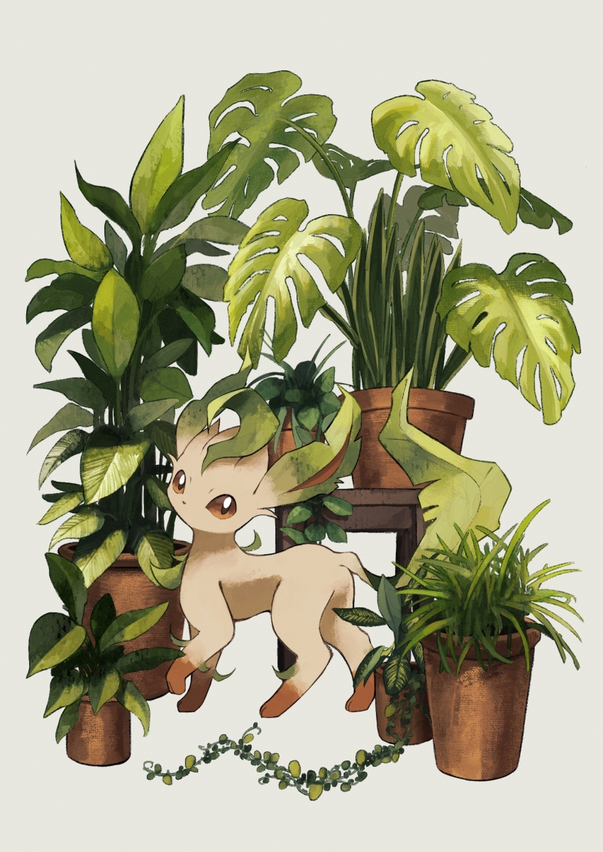 black_eyes brown_sclera colored_sclera commentary_request flower_pot gen_4_pokemon highres kuchiba_(jret2454) leafeon looking_at_viewer nintendo no_humans plant pokemon pokemon_(creature) potted_plant simple_background turning_head white_background