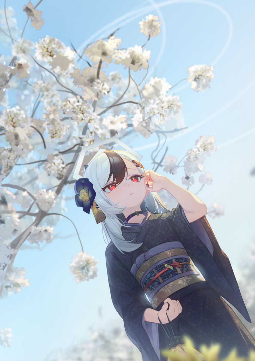 1girl absurdres black_hair black_horns black_kimono blue_archive blurry cherry_blossoms commentary day demon_girl demon_horns depth_of_field from_below hair_between_eyes highres horns japanese_clothes kayoko_(blue_archive) kayoko_(new_year)_(blue_archive) kimono looking_ahead multicolored_hair official_alternate_costume official_alternate_hairstyle outdoors print_kimono red_eyes saw272 solo streaked_hair white_hair wide_sleeves
