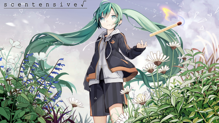 1girl aqua_eyes aqua_hair black_jacket black_shorts bluebell_(flower) casual cloud cloudy_sky commentary commentary_request coneflower feet_out_of_frame female_focus field fire flower from_below grey_hoodie hatsune_miku highres hood hoodie jacket kari_kenji leaf long_hair matches shorts sky solo standing throwing twintails very_long_hair vocaloid