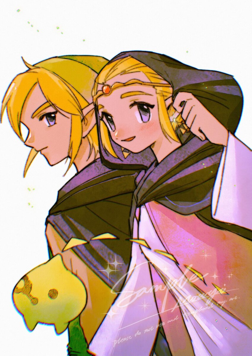1boy 1girl black_cloak blonde_hair blue_eyes circlet cloak closed_mouth creature dress earrings gold_earrings green_hat hat highres hood hood_up hooded_cloak jewelry korok light_blush link mouyi nintendo parted_lips pink_dress pointy_ears princess_zelda short_hair sidelocks smile swept_bangs the_legend_of_zelda the_legend_of_zelda:_echoes_of_wisdom triforce upper_body white_background