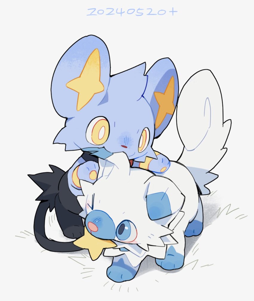 :3 alternate_color alternate_shiny_pokemon biting biting_another&#039;s_tail biting_ear black_fur blue_eyes blue_fur bright_pupils curled_tail dated dg_jia floppy_ears gen_4_pokemon gen_7_pokemon hand_on_another&#039;s_back highres large_ears nintendo no_humans one_eye_closed pokemon pokemon_(creature) pokemon_focus rockruff shinx simple_background star_(symbol) tail white_background white_fur white_pupils yellow_eyes