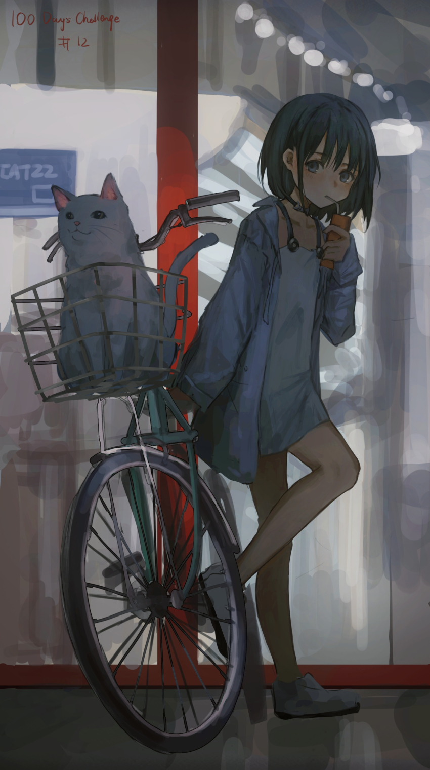 1girl absurdres animal bicycle bicycle_basket black_hair blue_jacket blush carton cat catzz collarbone dress full_body hair_between_eyes highres jacket looking_at_viewer medium_hair original outdoors shoes shop short_dress sneakers solo standing white_cat white_dress
