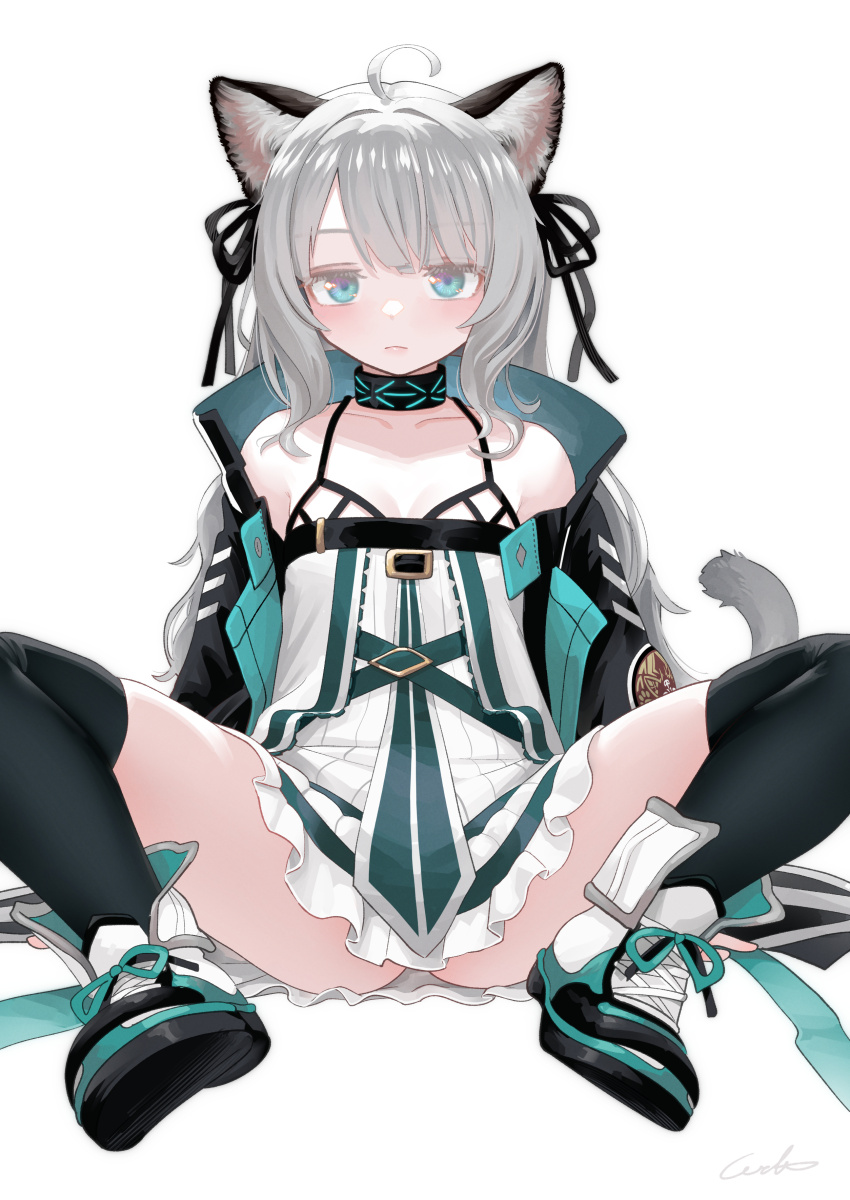1girl absurdres ahoge animal_ear_fluff animal_ears arknights bare_shoulders black_jacket black_ribbon black_thighhighs blue_eyes breasts cat_ears cat_girl cat_tail closed_mouth collarbone dress grey_hair hair_intakes hair_ribbon highres jacket long_hair m_legs mint_(arknights) open_clothes open_jacket ribbon shoes simple_background sleeveless sleeveless_dress small_breasts sneakers solo spread_legs tail thighhighs very_long_hair welt_(kinsei_koutenkyoku) white_background white_dress white_shoes