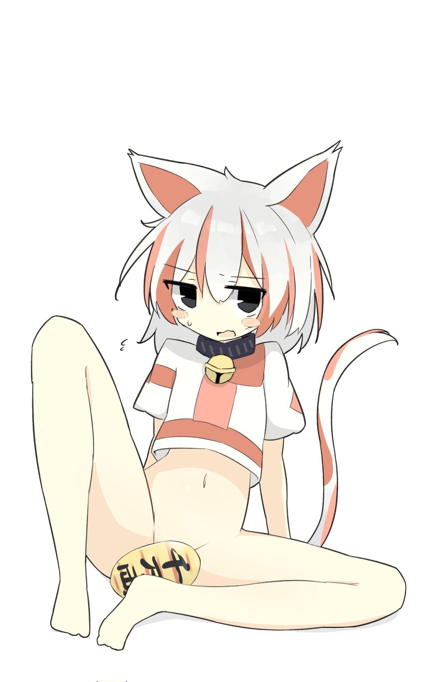 1girl animal_ears bare_legs barefoot bell black_eyes bottomless cat_ears cat_girl cat_tail commentary crop_top cropped_shirt eyes_visible_through_hair flying_sweatdrops full_body gold goutokuji_mike groin hair_between_eyes highres jingle_bell looking_at_viewer medium_hair multicolored_hair navel neck_bell no_nose open_mouth orange_hair orange_tail puffy_short_sleeves puffy_sleeves ro_74 shirt short_sleeves simple_background sitting solo split_mouth spread_legs sweatdrop tail tail_raised touhou two-tone_hair white_background white_hair white_shirt white_tail
