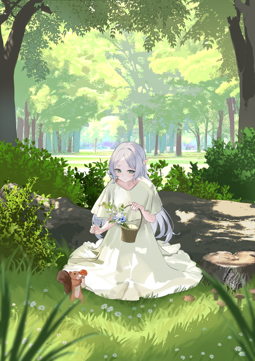 1girl absurdres basket closed_mouth commentary_request dappled_sunlight day dress elf flower forest frieren grass green_eyes grey_hair hair_down highres holding holding_basket kneeling long_dress long_hair looking_at_viewer mushroom nature on_ground outdoors pointy_ears senbonsang short_sleeves smile solo sousou_no_frieren squirrel sunlight tree tree_stump white_dress wicker_basket